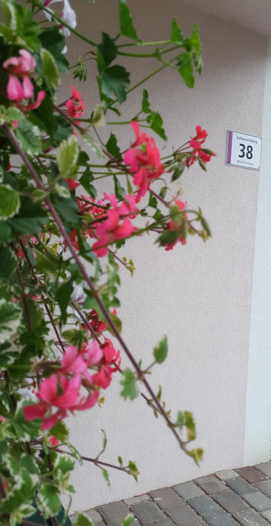 Ferienwohnung Blick Ins Gruene Rossleithen ภายนอก รูปภาพ