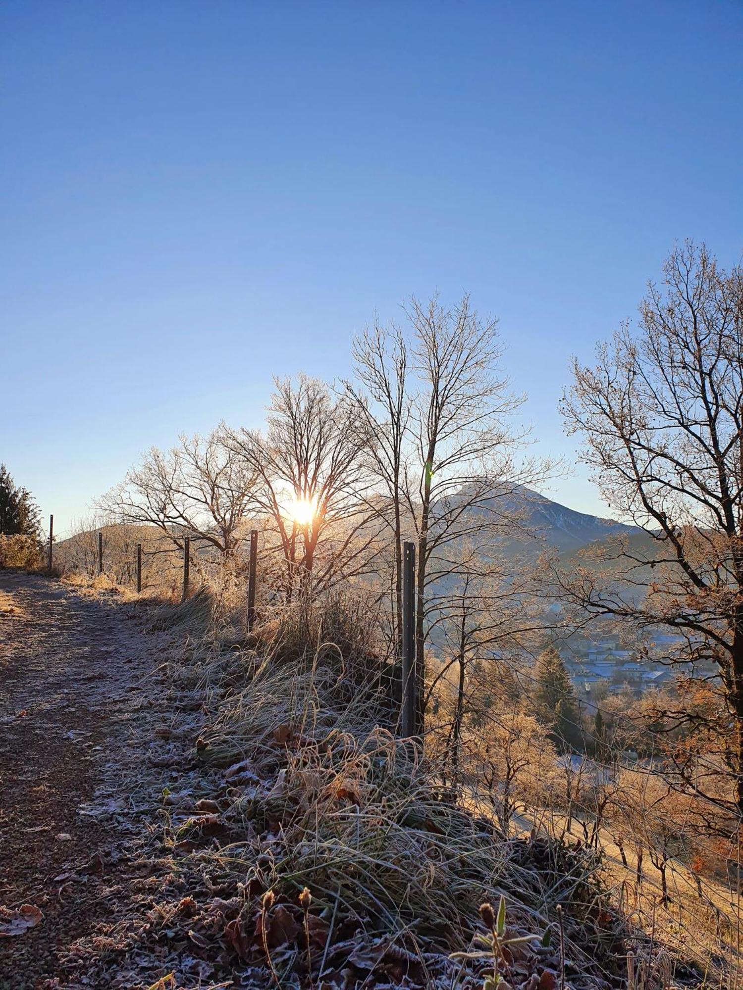 Ferienwohnung Blick Ins Gruene Rossleithen ภายนอก รูปภาพ