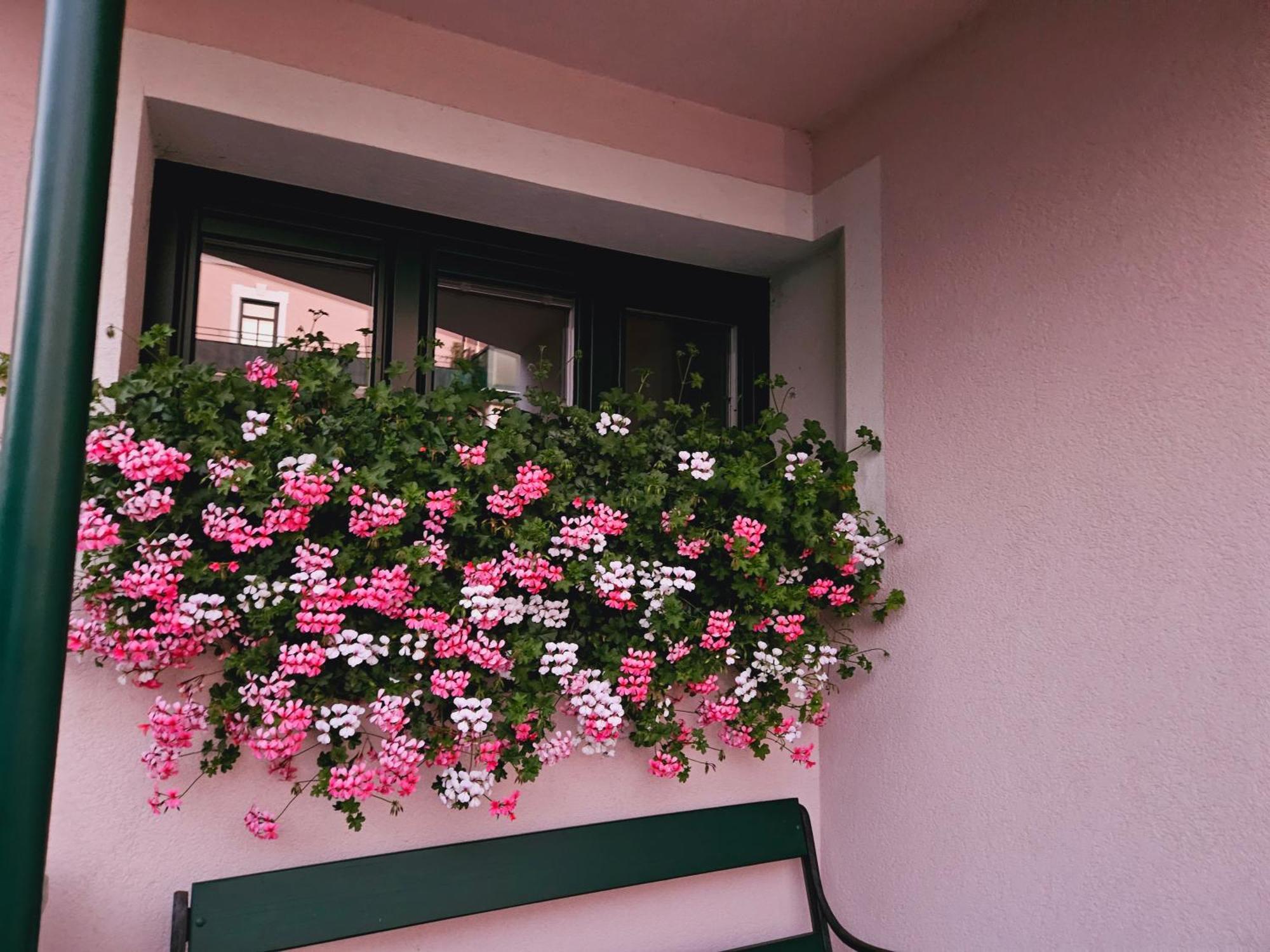 Ferienwohnung Blick Ins Gruene Rossleithen ภายนอก รูปภาพ