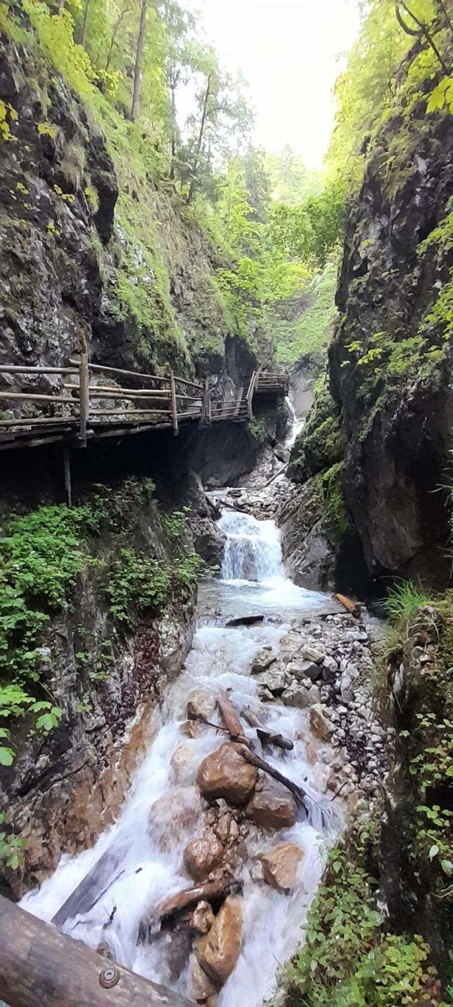 Ferienwohnung Blick Ins Gruene Rossleithen ภายนอก รูปภาพ